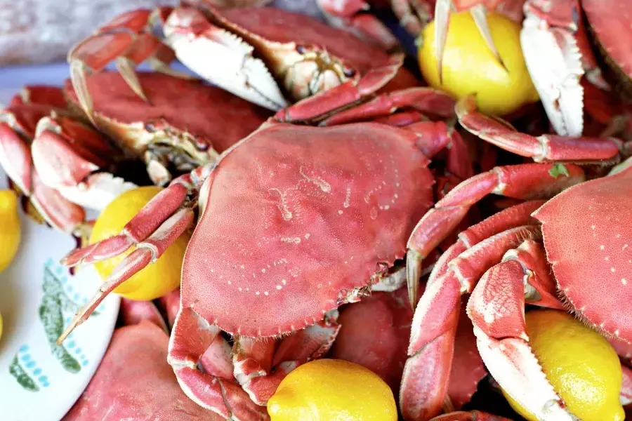 Close-up shot of a pile of cooked crabs with lemon slices on a platter.